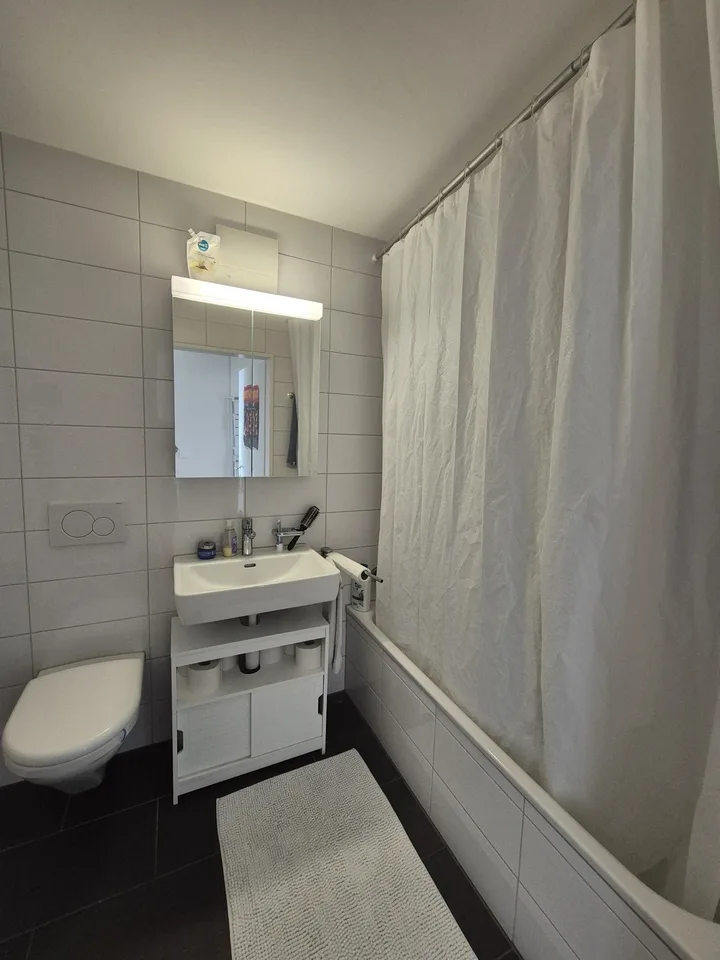 Möblierte 2.5-Zimmer-Wohnung mit grossem Balkon in Zürich-Altstetten