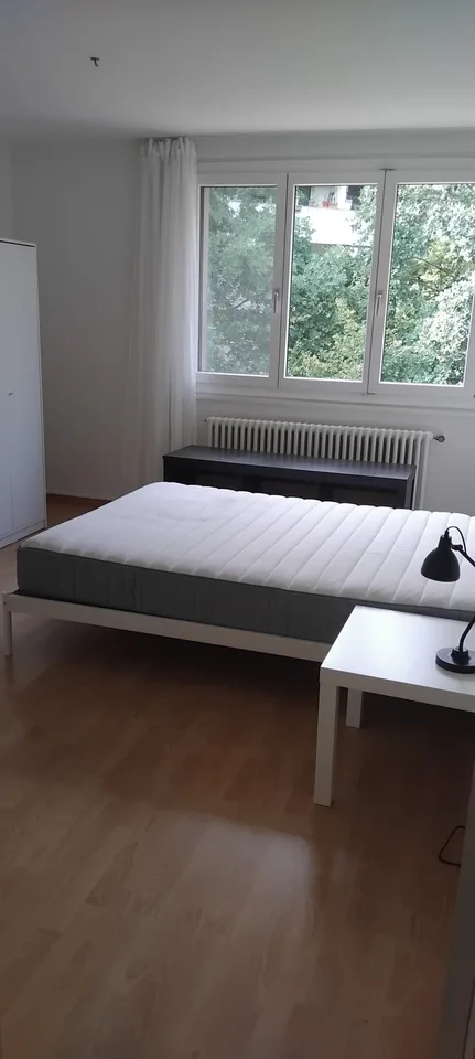 Furnished room with balcony & forest view in Rombach near Aarau