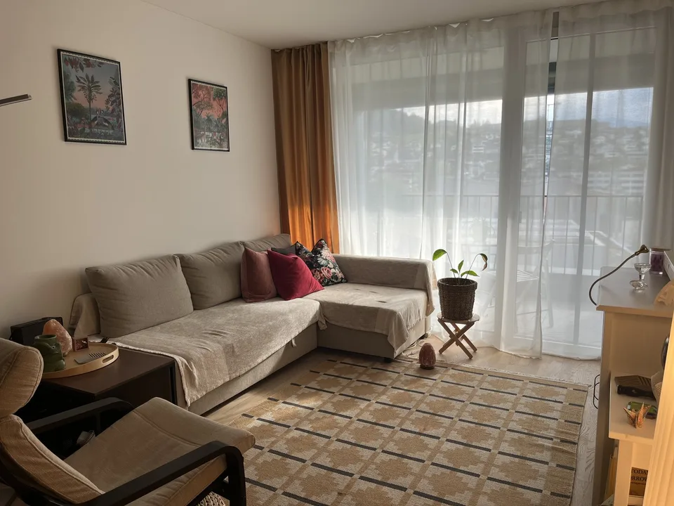 2.5 Zimmer Wohnung im Herzen von Horw