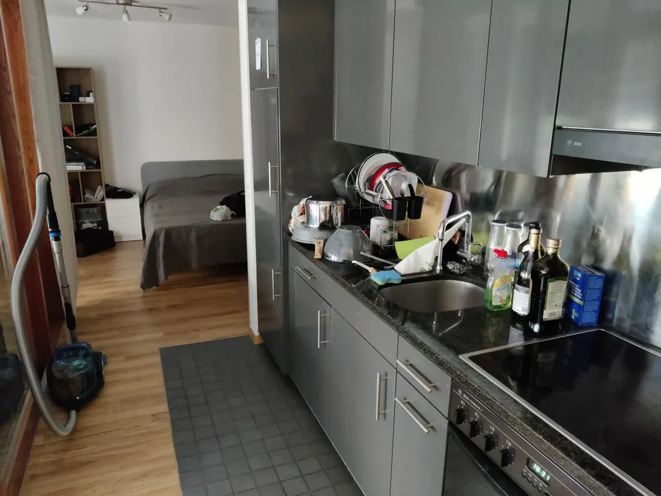 Appartement de 2,5 pièces lumineux avec de grandes fenêtres et terrasse ensoleillée au sud, à proximité de la gare d'Oerlikon
