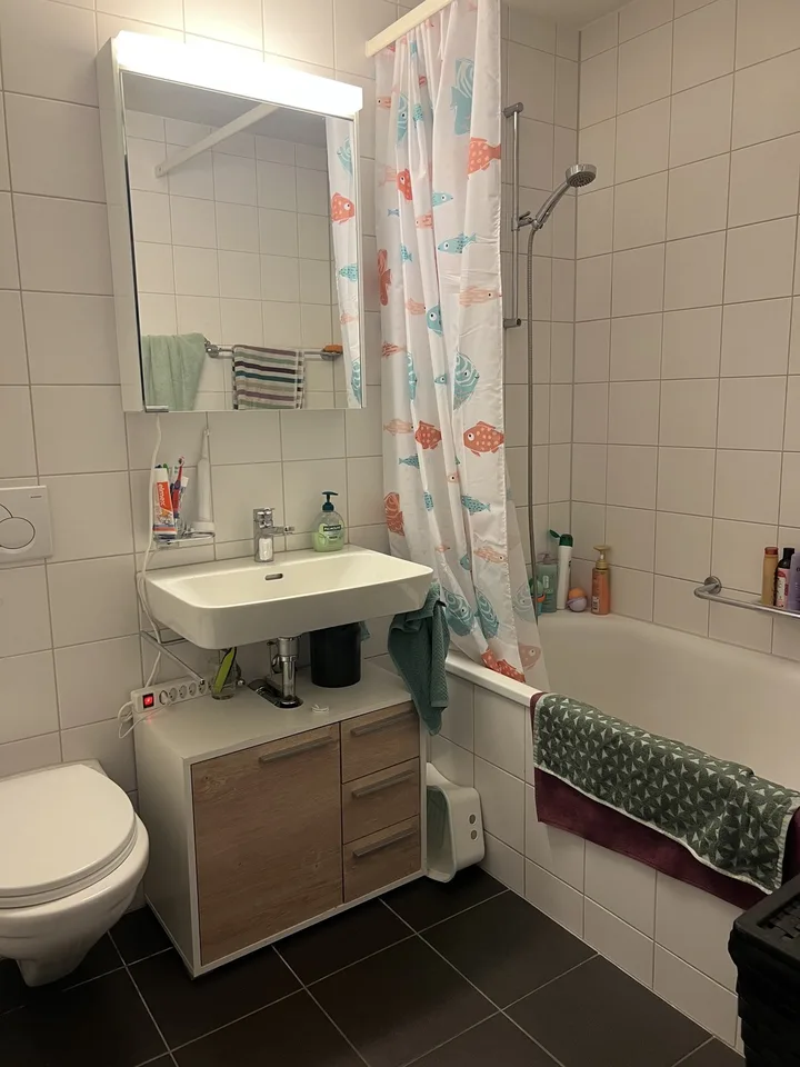 Appartement 4.5 pièces à Rüfenacht