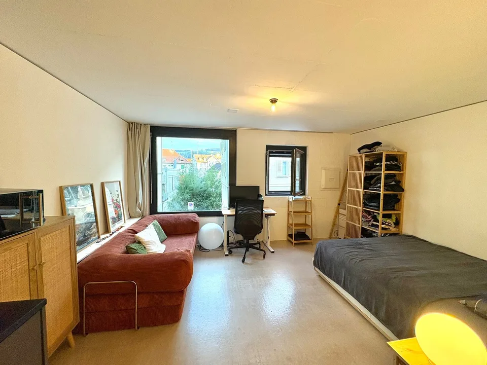 Moderne grosszügige 1-Zimmer-Wohnung