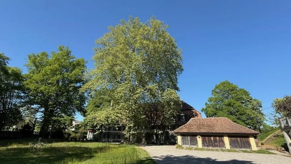 3 1/2-Zimmer-Maisonette-Wohnung im Schlosspark