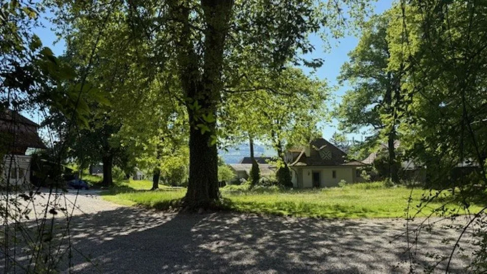 3 1/2-Zimmer-Maisonette-Wohnung im Schlosspark