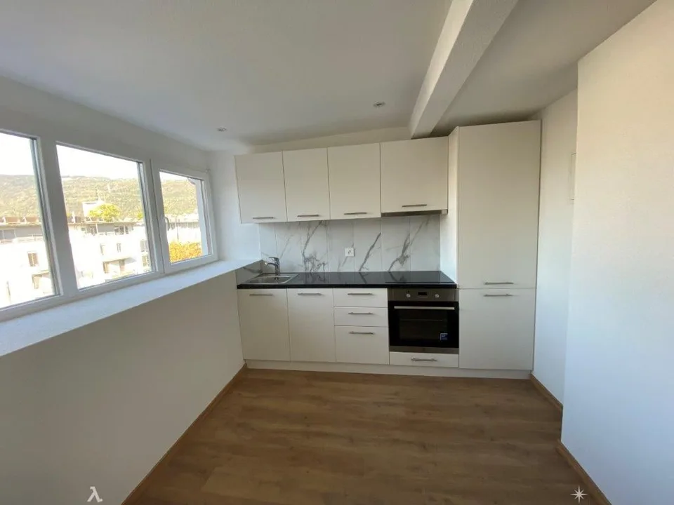 Charmante 1-Zimmer-Dachwohnung mit Estrich zu vermieten