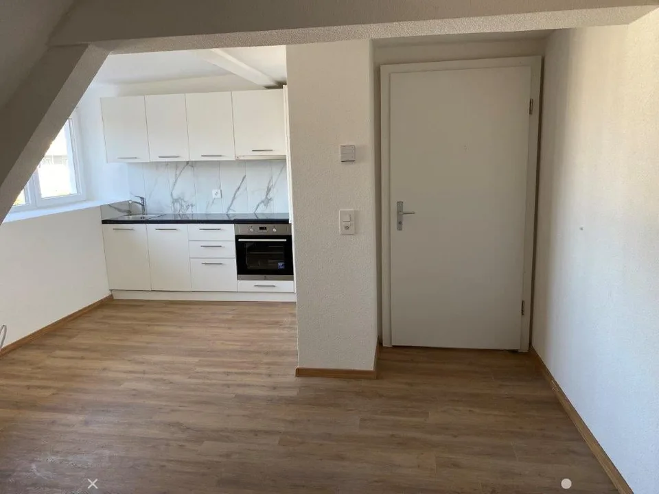 Charmante 1-Zimmer-Dachwohnung mit Estrich zu vermieten