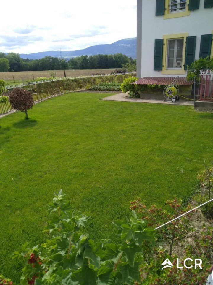 Schönes 2.5-Zimmer-Apartment in Belmont/Yverdon