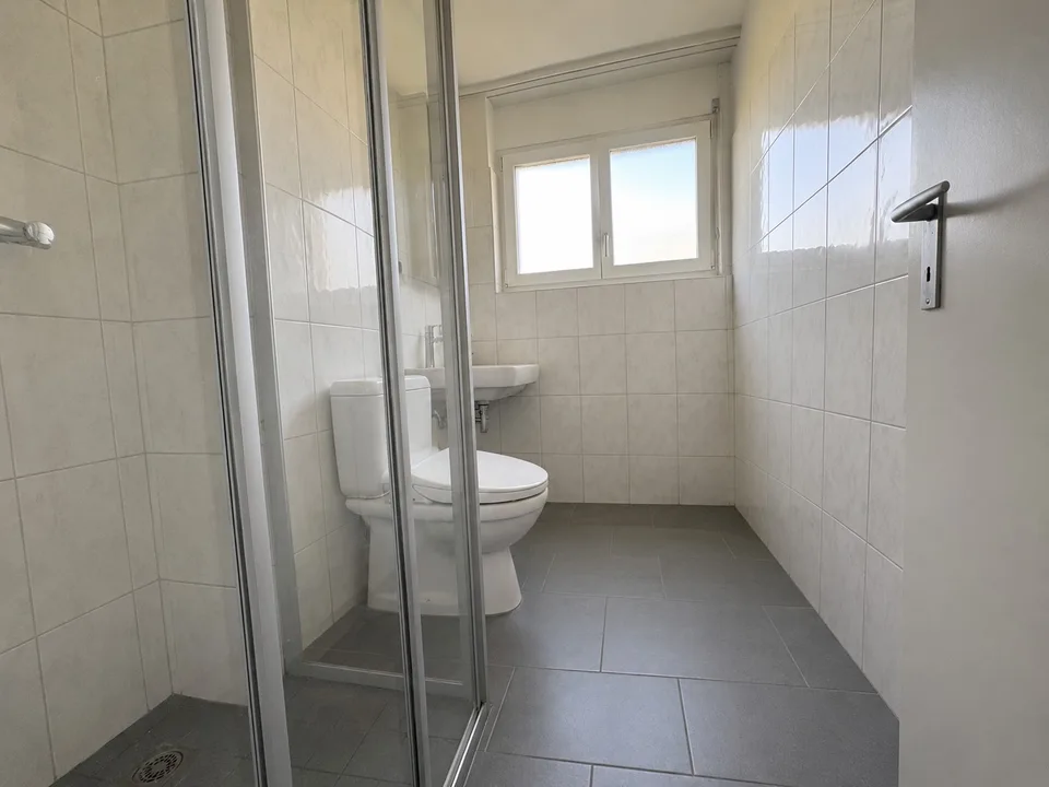 4.5-Zimmerwohnung am Stadtrand von Wallisellen