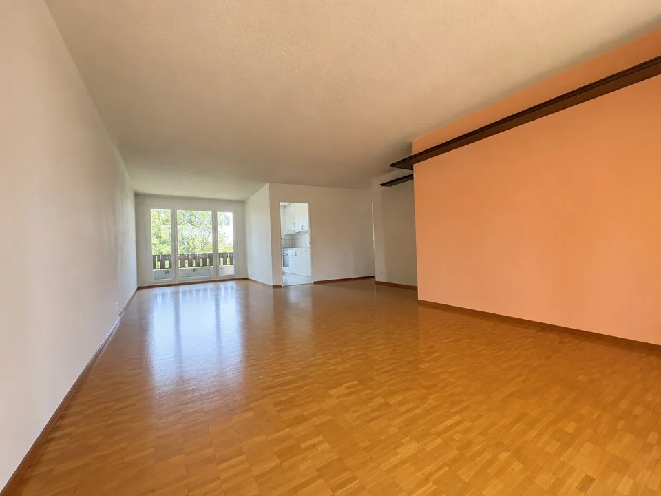 4.5-Zimmerwohnung am Stadtrand von Wallisellen