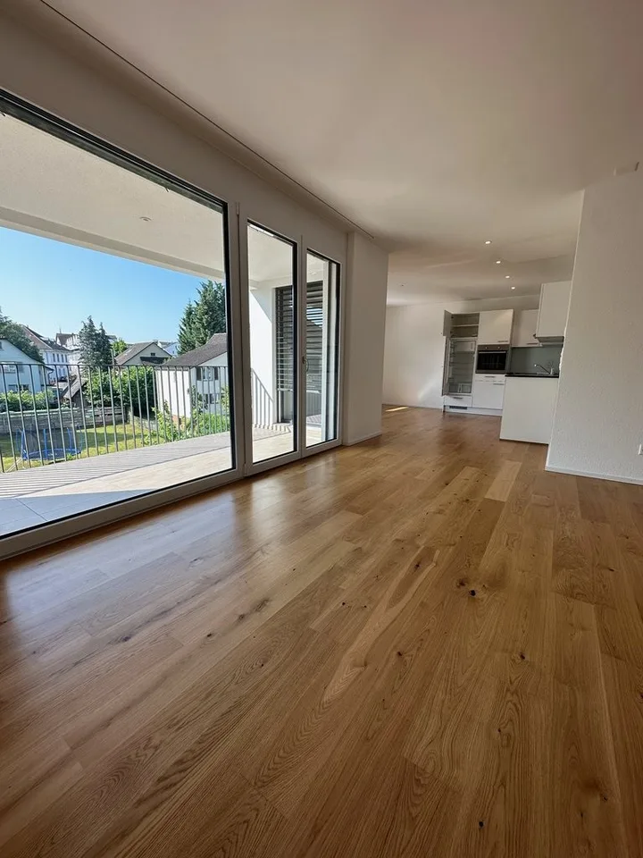 Cozy 3.5 Room Apartment for Rent in Reinach