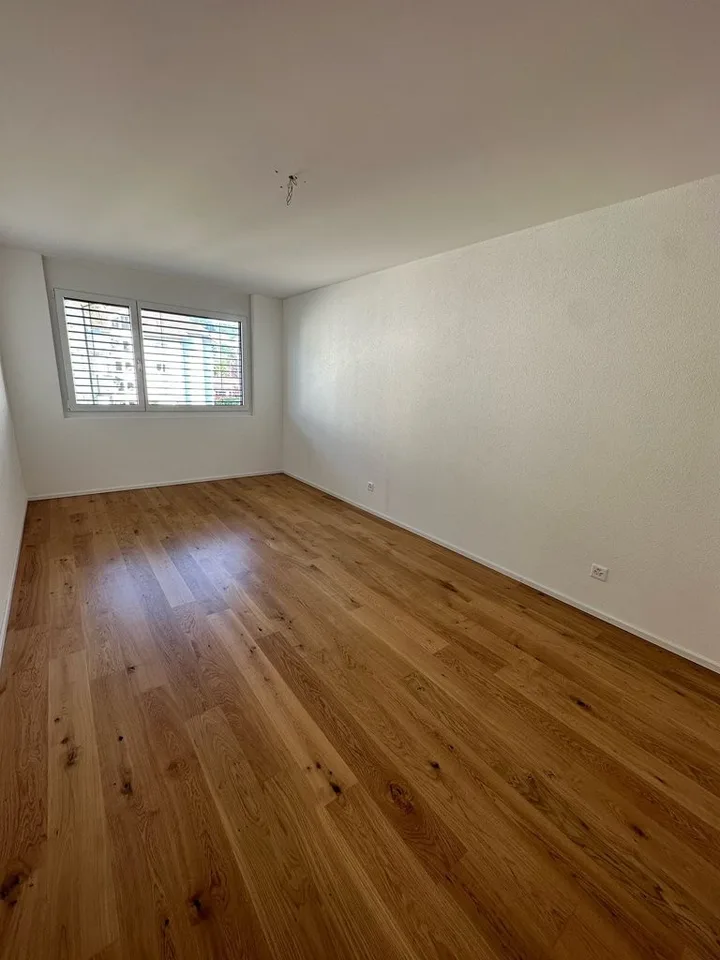 Cozy 3.5 Room Apartment for Rent in Reinach