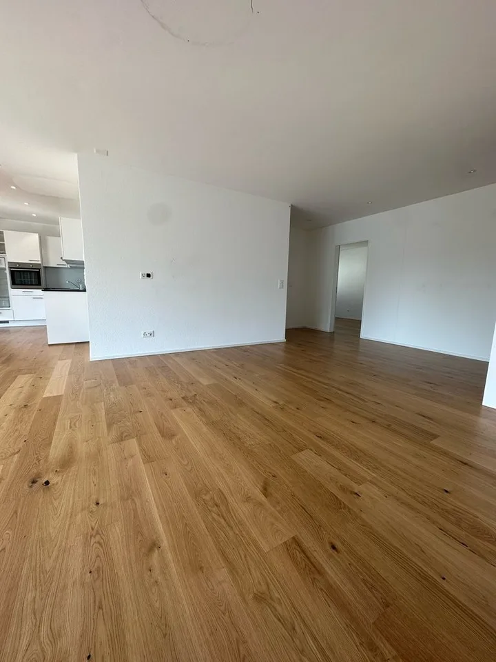 Cozy 3.5 Room Apartment for Rent in Reinach