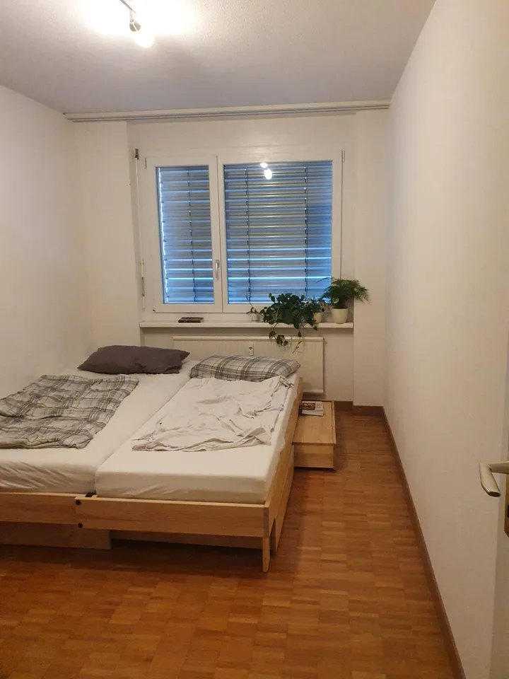 Cozy flatshare of 3 looks for new flatmate