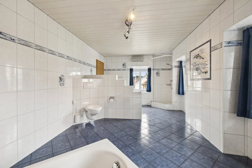 Exclusive single-family house with garden in Büsserach