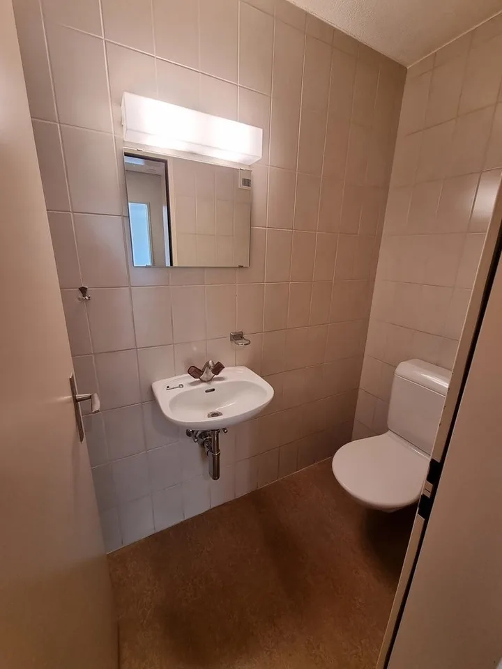 Grosszügige Familienwohnung in Stadtnähe