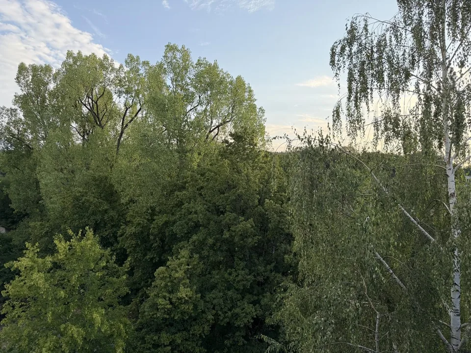 Helle 3½-Zimmer-Attikawohnung mit drei Balkonen und Weitsicht