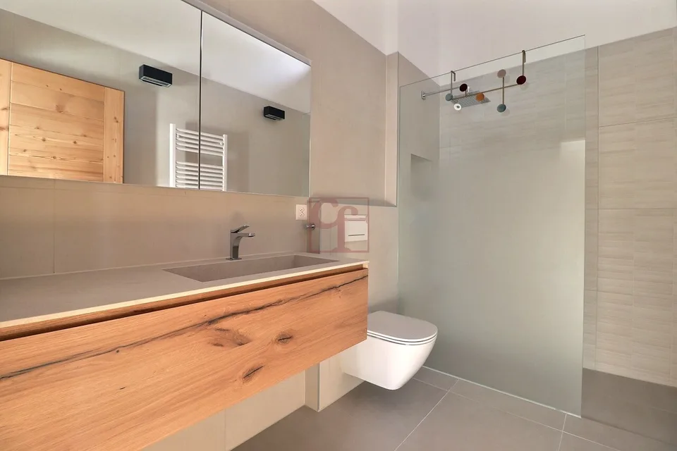 Les Sciernes-d'Albeuve - Chalets contemporains