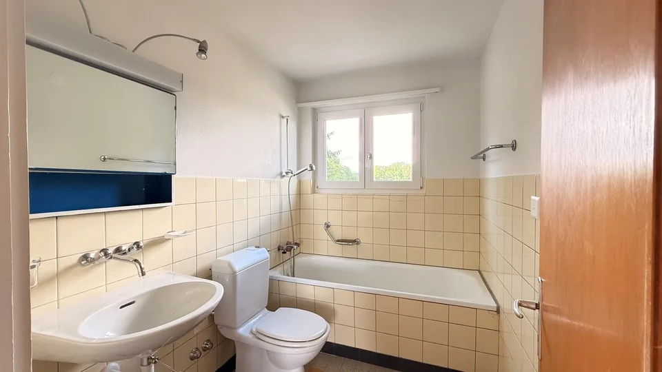 3 Zimmer Wohnung