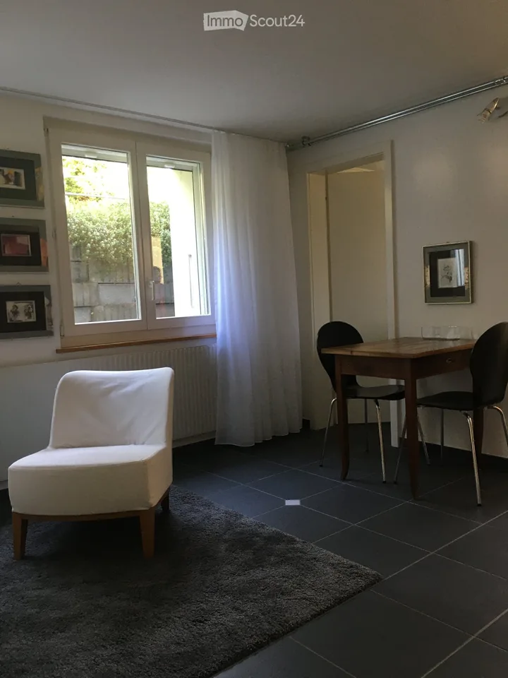 Helles möbliertes Studio im Berner Seeland