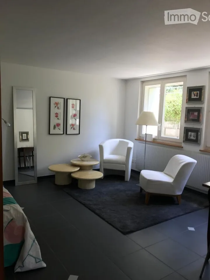 Helles möbliertes Studio im Berner Seeland