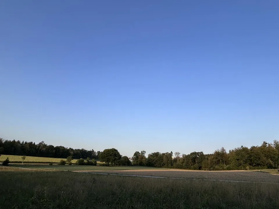 A room with a view