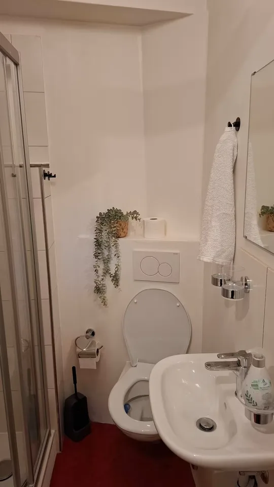 Appartement meublé 1 pièce (studio) avec salle de bain privée sans cuisine