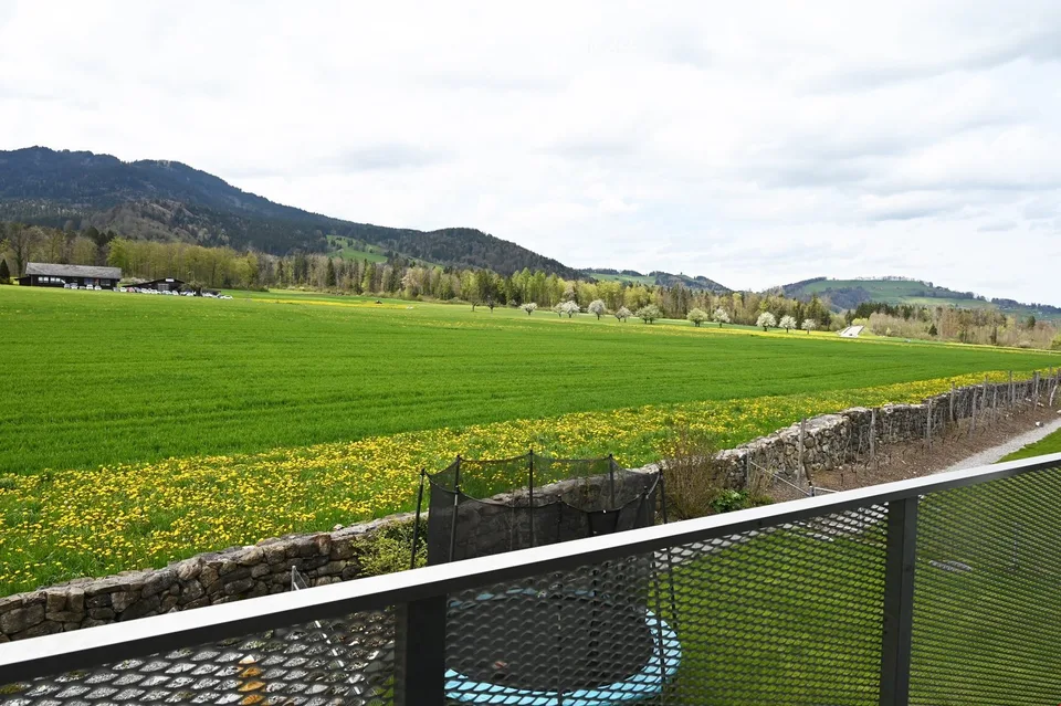 Beautiful 3.5-room apartment with a view of the greenery incl. EHP