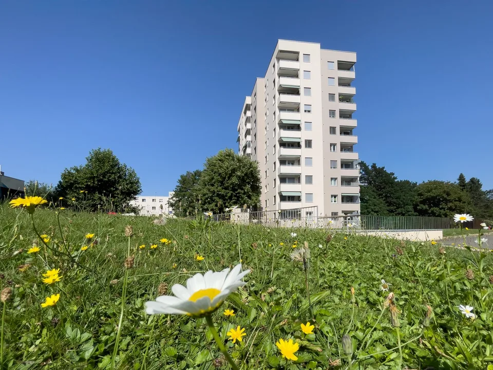 Appartement 3.5 pièces dans un quartier calme