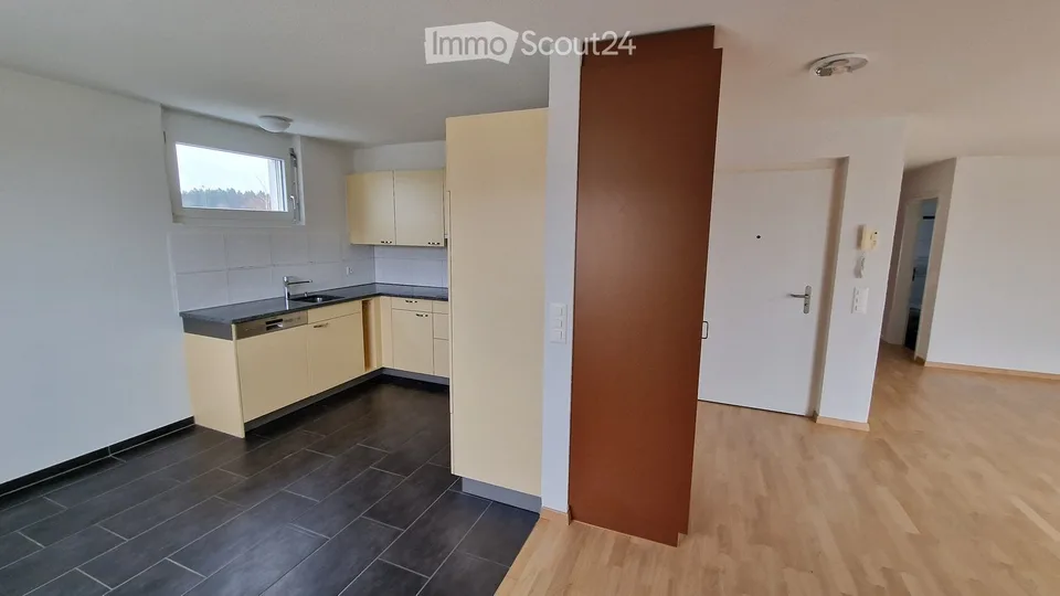 Attika-Wohnung: Grosse Zimmer, eigene WM / Tumbler, Terrasse (70m2)