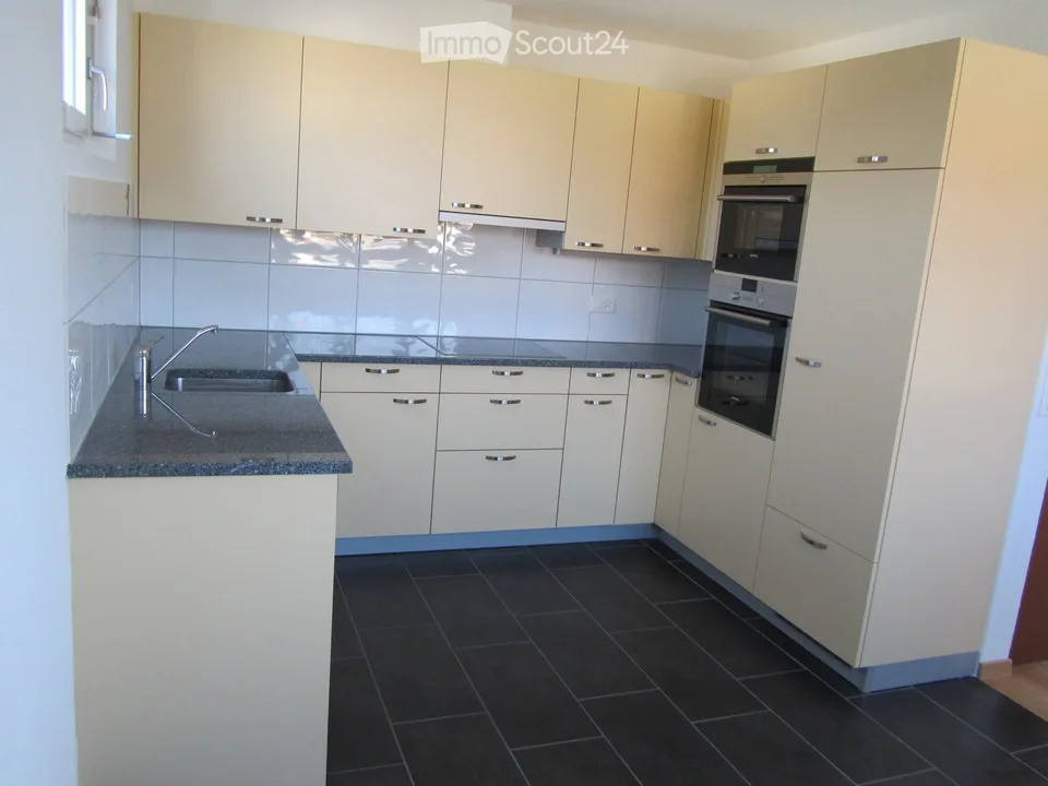 Attika-Wohnung: Grosse Zimmer, eigene WM / Tumbler, Terrasse (70m2)