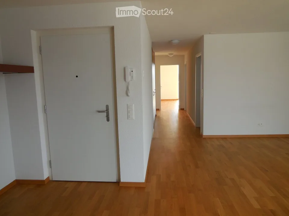 Attika-Wohnung: Grosse Zimmer, eigene WM / Tumbler, Terrasse (70m2)