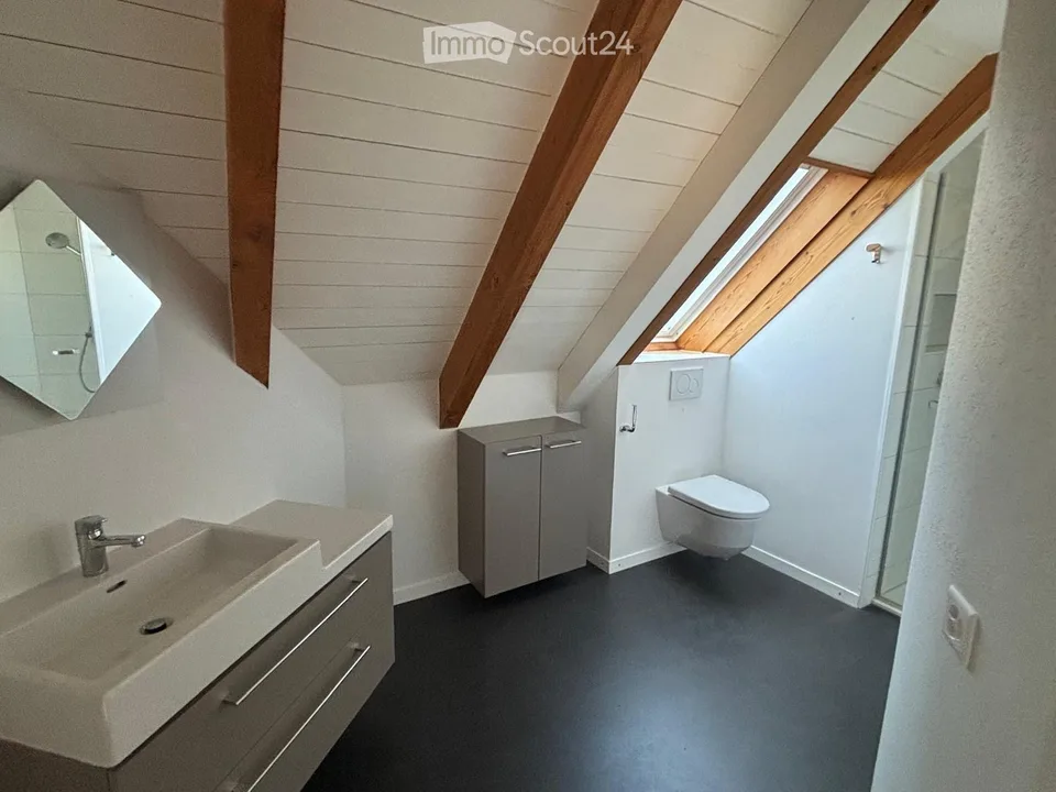 Appartement 5.5-Duplex-/Maisonette rénové à Meisterschwanden