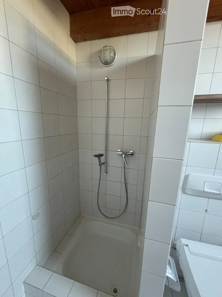 Appartement 5.5-Duplex-/Maisonette rénové à Meisterschwanden