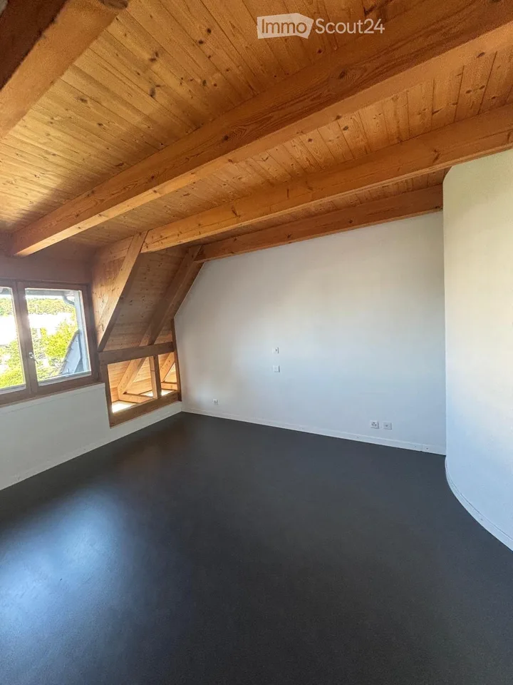 Appartement 5.5-Duplex-/Maisonette rénové à Meisterschwanden