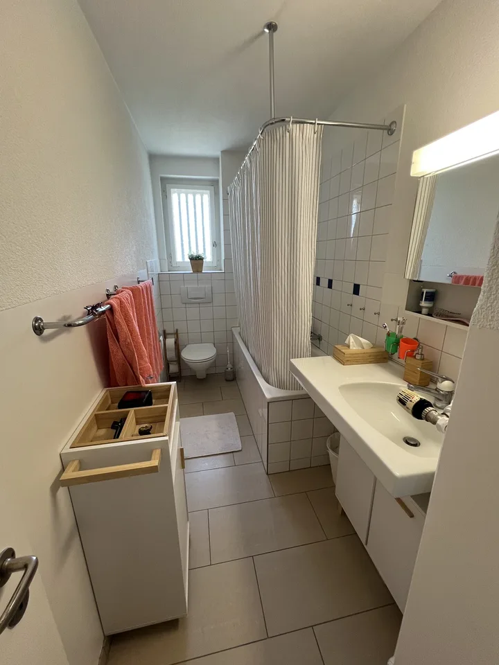 Traumhafte Wohnung in Thalwil