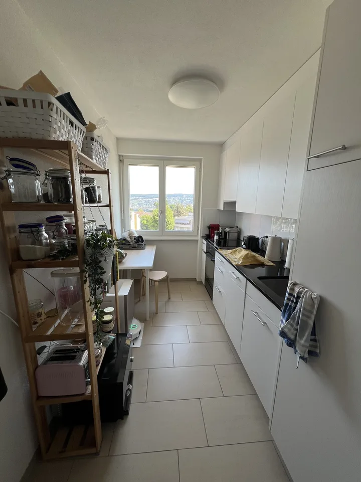 Traumhafte Wohnung in Thalwil