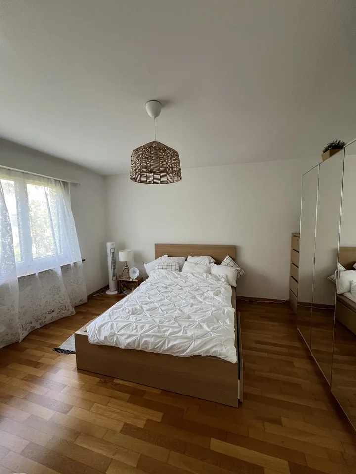 Traumhafte Wohnung in Thalwil