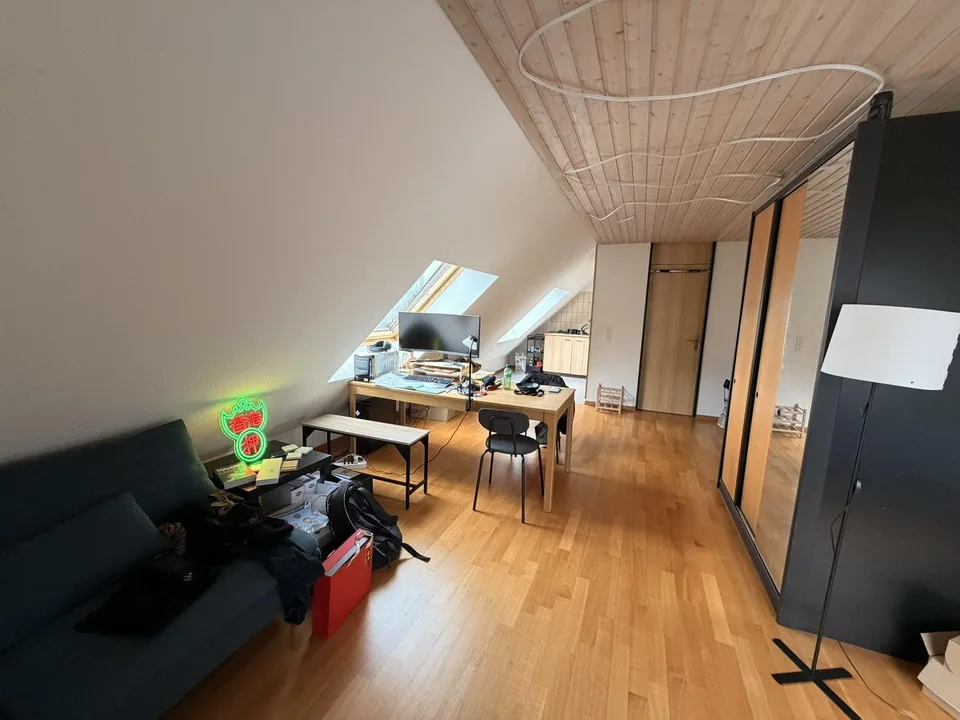 1.5-Zimmer-Wohnung, 54 m², Hirschmattquartier 5 Min. zum Bahnhof Luzern