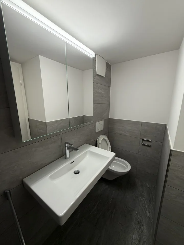 Apartment in Meilen