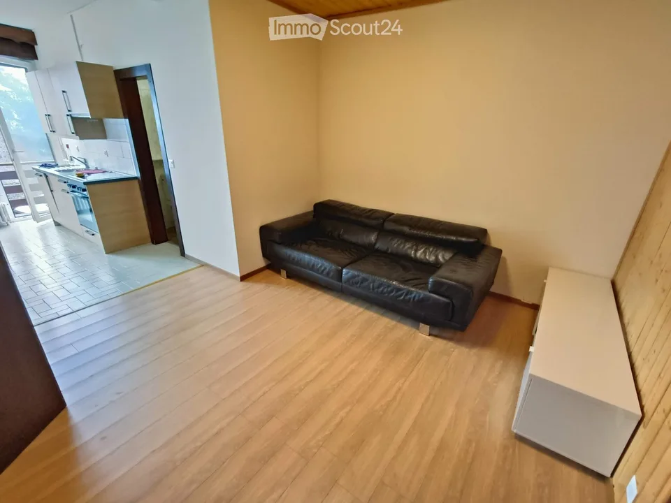 Schönes möbliertes 2.5-Zimmer-Apartment zur Miete