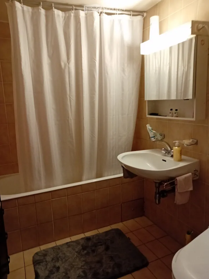 3 furnished rooms Geneva Cornavin 3 to 6 months