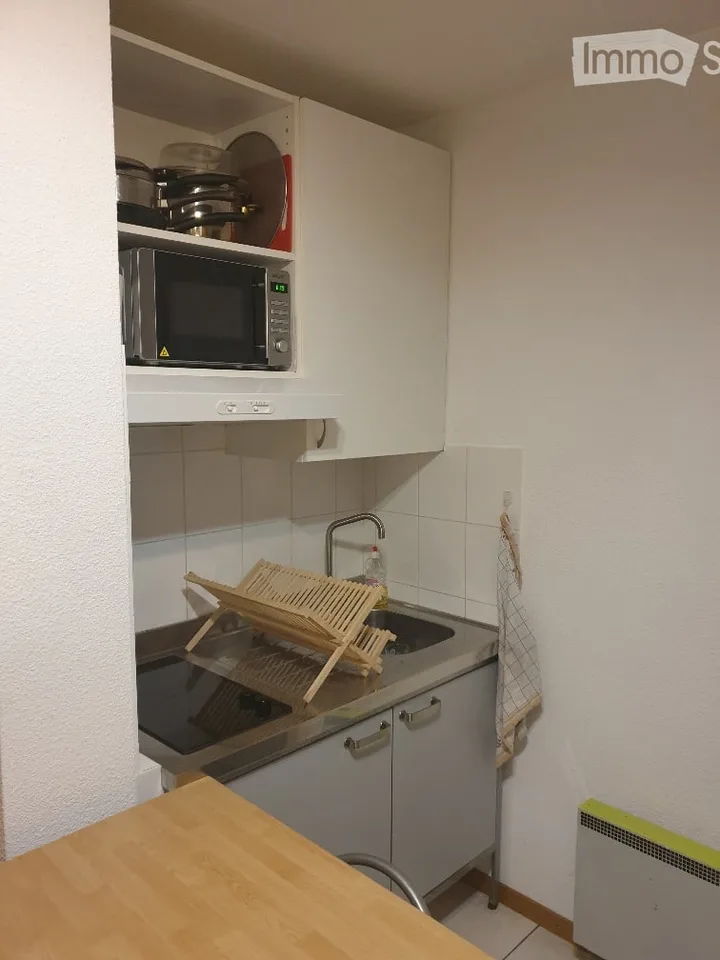 Piccolo appartamento 1 camera, arredato, come pied-à-terre dal lunedì al venerdì