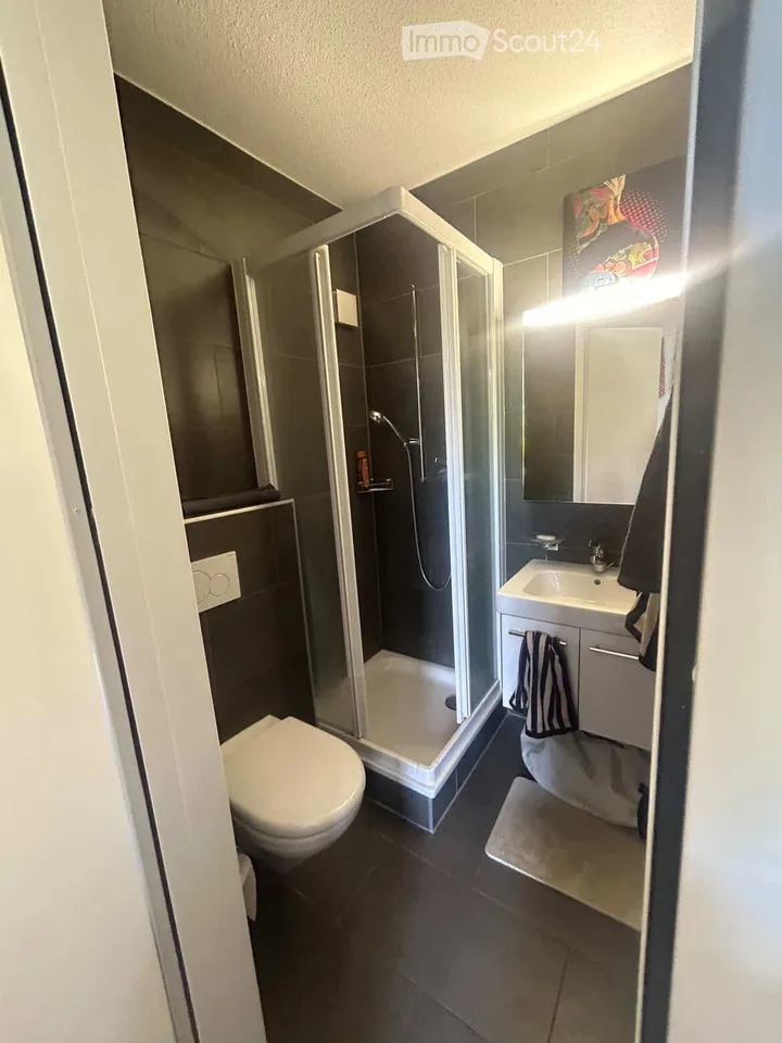 Übernahme eines Mietvertrags für ein wunderschönes Studio in Lausanne
