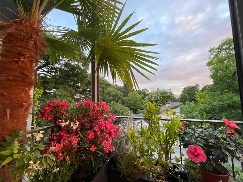 Appartement d'exception avec terrasse panoramique et vue sur le Jura à Presinge