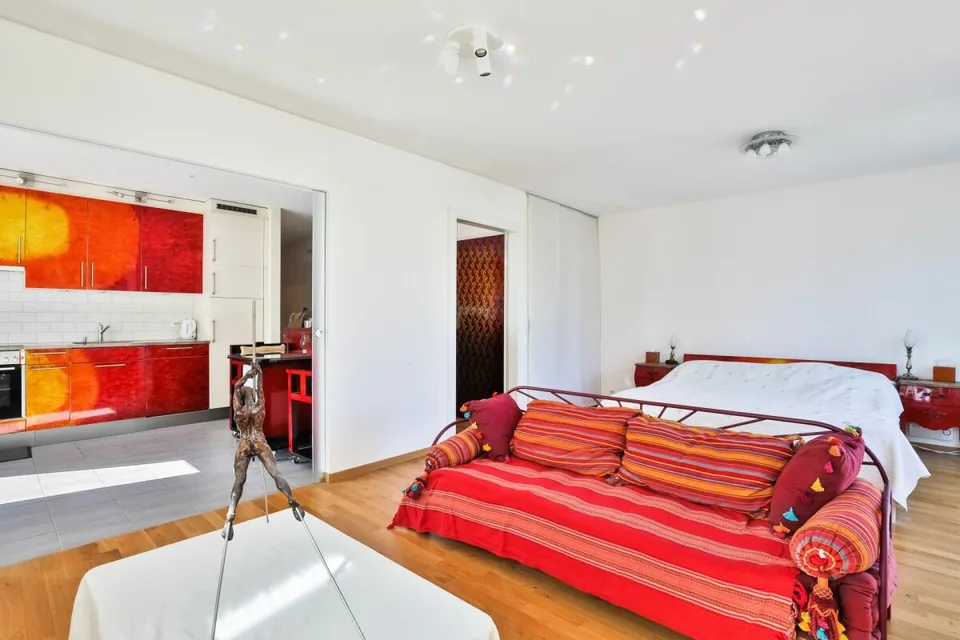 Appartement rare à vendre à Carouge - Emplacement exceptionnel, prestations haut de gamme