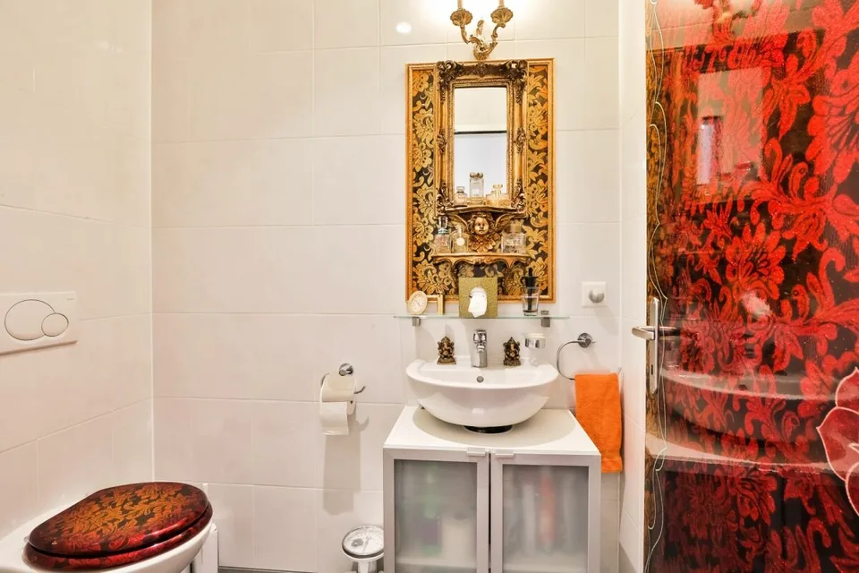 Appartement rare à vendre à Carouge - Emplacement exceptionnel, prestations haut de gamme