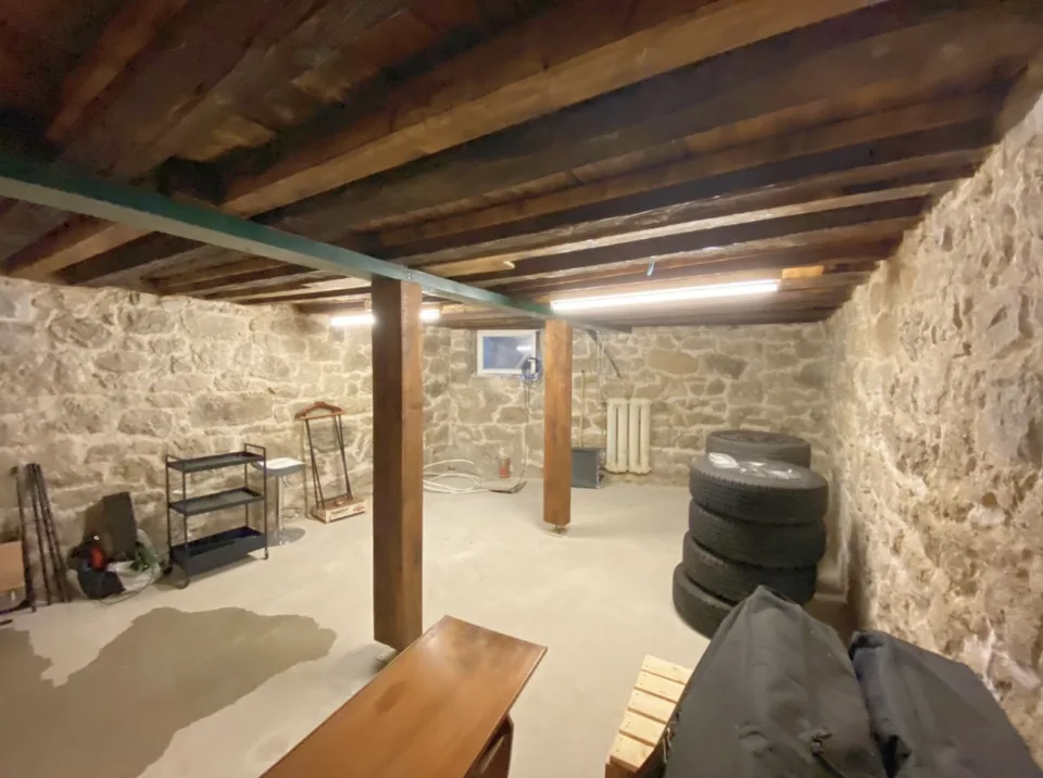 Locaux Commerciaux Modernes à Chêne-Bourg à vendre pour investisseur