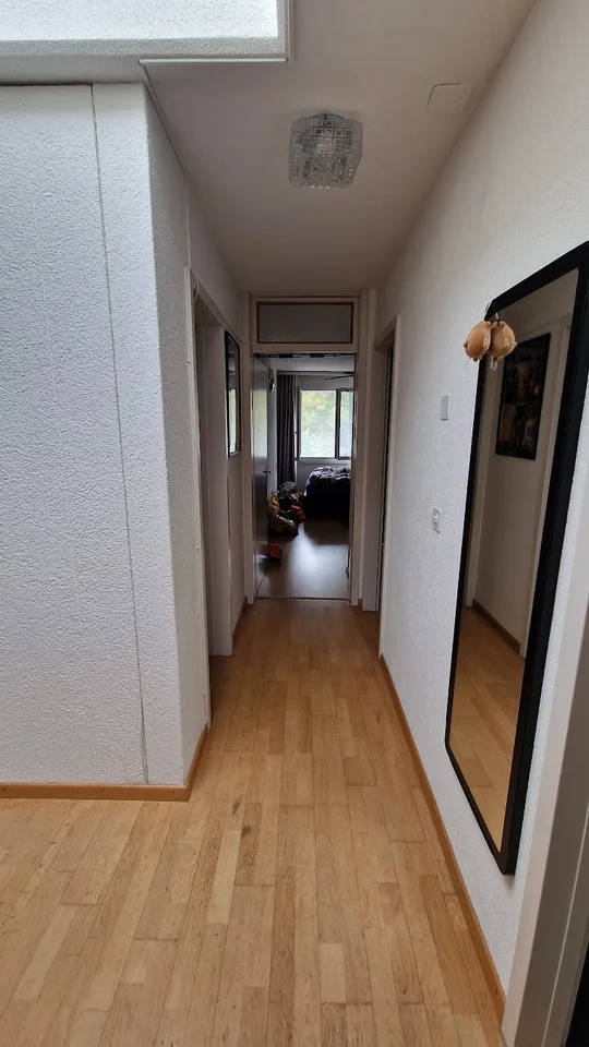4 ½ Zimmer-Wohnung
