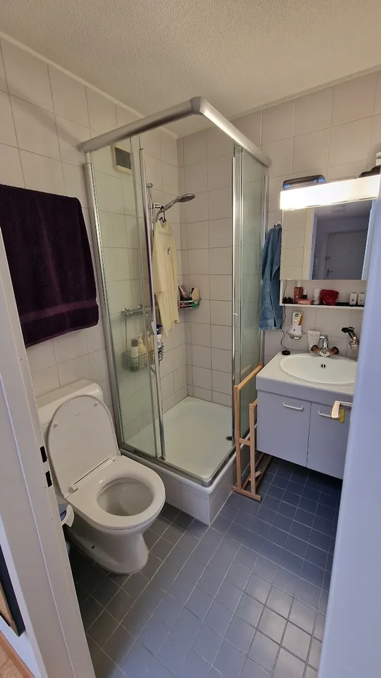 4 ½ Zimmer-Wohnung