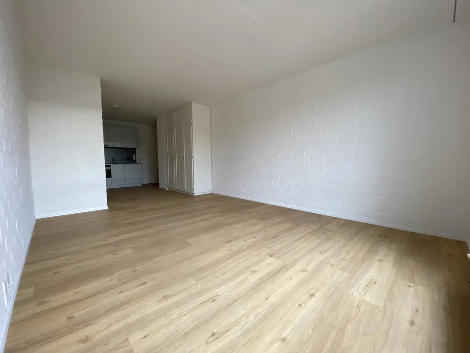 1 Bedroom Apartment, 3013 Bern